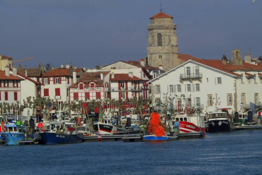 Maison Individuelle Cote Basque Ciboure Ngoại thất bức ảnh